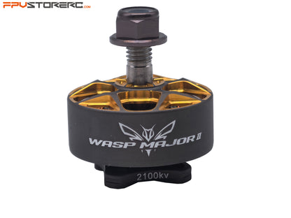 Rcinpower Wasp Major Aktualisiert V2 Version 22.6-6.6 Motor